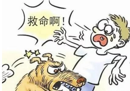 怕狗的人在这几种情况下,遇到狗怎么办?
