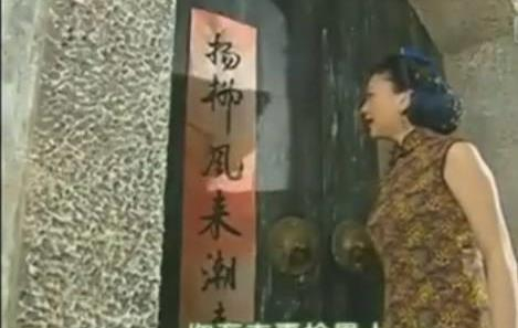 情深深雨蒙蒙:雪姨的一句台词,竟成为抓小三的经典开场白|雪姨|情深深雨蒙蒙|陆振华