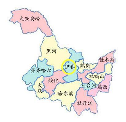 红茶批发：在市场潮涌中把握良机