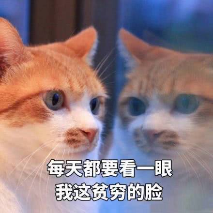 沙雕表情包精选:我就吃一勺|沙雕|表情包_新浪新闻