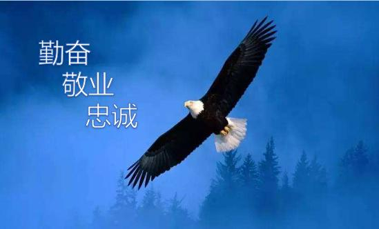 勤奋、敬业、忠诚,让你自动自发的工作