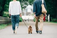 蒋丰:日本处男处女泛滥说明了什么?