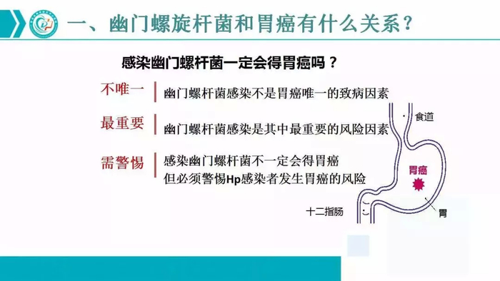 关于幽门螺杆菌(Hp),这是一篇说得最彻底的科普!|幽门|杆菌|胃癌|胃溃疡|粘膜_新浪新闻