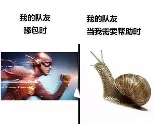搞笑GIF：丑就够倒霉了，还这么傻!