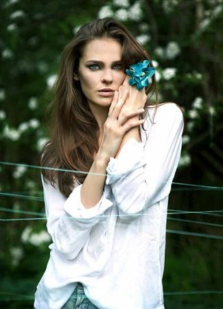 狮子座职场生存守则(图片来源于轻博客)