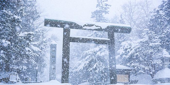 北海道 札幌 冬之雪国里的白色恋歌 美食与雪景都不可辜负 手机新浪网