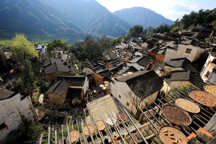 江西婺源“扫黄”正当时，美女沉醉温柔春光里