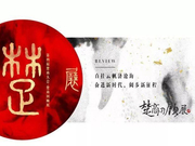 陈东升马云刘永好等为楚商回顾展揭幕