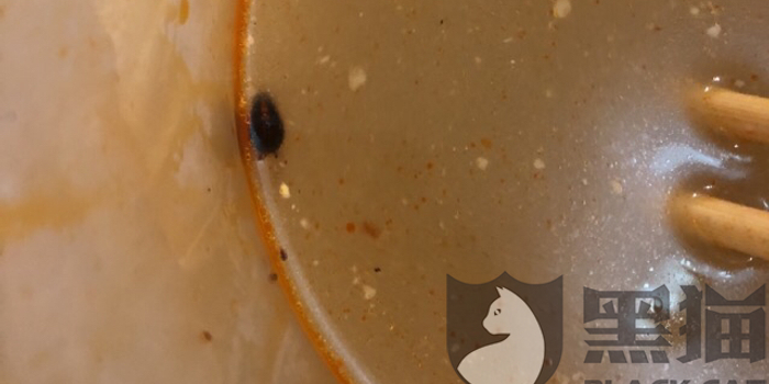 黑猫投诉:吃个觅姐麻辣烫吃出蟑螂,真是牛批嗷