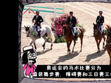 一分钟看奥运马术项目