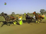 马车比赛