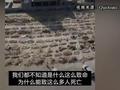 也门墓地超负荷运转 掘墓人:每天都有许多人带着遗体过来