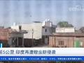 印度疫情严重地区遭蝗虫入侵 虫群长达5公里