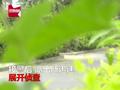 女子夜跑遭遇“咸猪手” 民警侦查6天抓获:一般人不会报警