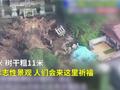 日本暴雨下不停!40米高的千年神树被连根拔起