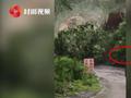 湖北恩施山体塌方巨石滚落 男子淡定拍摄整个过程