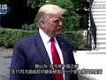 特朗普称疫苗可能会在大选前后推出 福奇:不要政治干预!