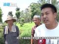 村民存钱到银行只让存不让取?工作人员:换酒可以 取钱不行