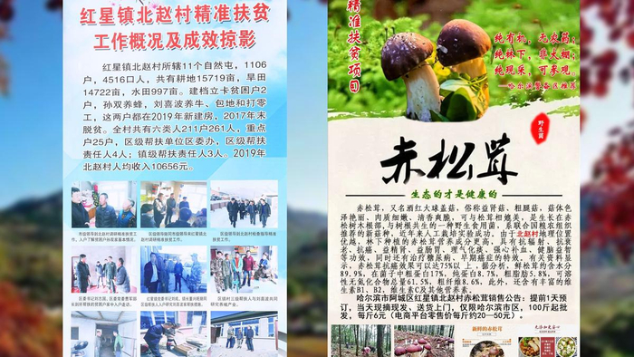 （图为哈尔滨警备区精准帮扶贫困村民拓宽农产品销售渠道。孙健摄）