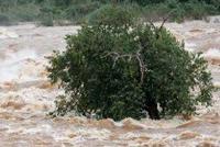 四川洪灾猛于虎:又有两A股公告灾情 和邦生物预计损失超3.5亿