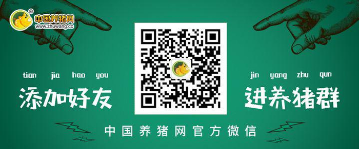 中国养猪网官方微信号：zgyangzhuwang（刷屏广告勿扰）
