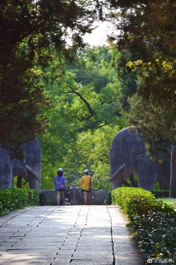网友@云溪AN 摄
