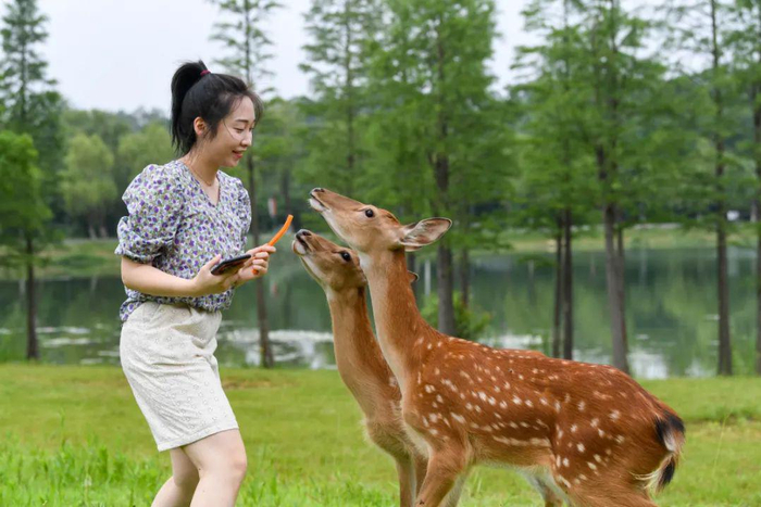南报融媒体记者 段仁虎 摄