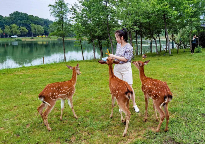 南报融媒体记者 段仁虎 摄