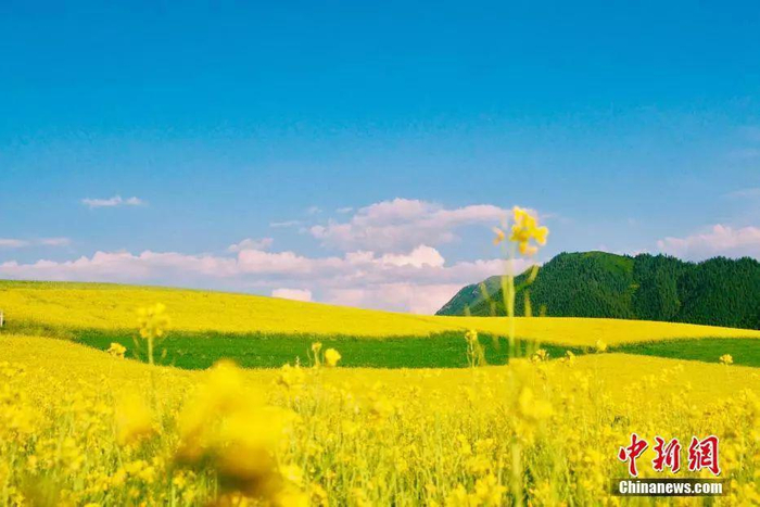 中新网记者 翟璐 摄