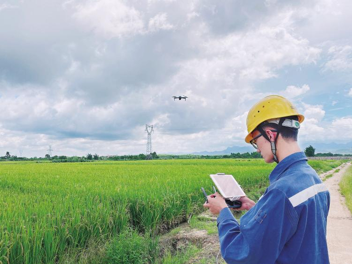 　　广东电网公司江门供电局陈益平创新工作室的“飞手”正在使用无人机对线路进行防鸟害巡视。 张羽 摄