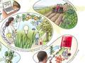 英国皇家植物园:约14万种植物面临灭绝 人类正失去用植物解决问题的机会
