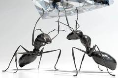 再议蚂蚁上市影响