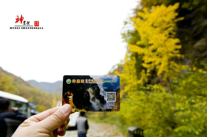 更多关于神农架的交通旅游信息，请网上百度，有许多这方面的介绍。门票网上可预定，有很多旅行网都有售。