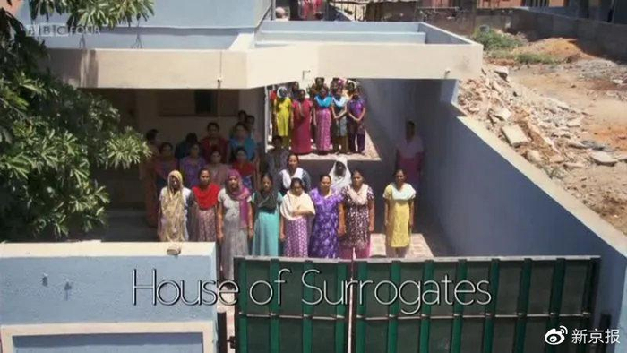 纪录片《代孕者》剧照。