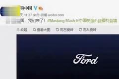 福特中国新车海报惹争议，网友：“指牛为马”？