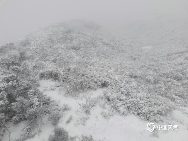 图为文山市薄竹山山顶的降雪。（图/陈树炳 文/王孝卫）