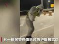 致敬逆行 新疆大风将执勤民警吹趴在地