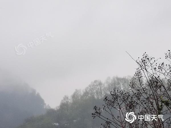 今晨，湖南凤凰县云雾缭绕。（图/何炳伟）