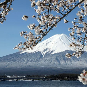 日本思想史》，真的传达了日本人的心声吗？_手机新浪网