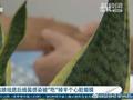 吓人!女子祛痣后细菌感染 心脏瓣膜被“吃”掉一半