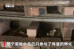 熟蛋返生论文第二作者后悔参与：太荒唐了 已写说明配合警方调查