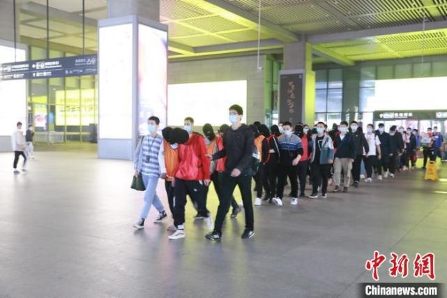 犯罪嫌疑人被押解回合肥。合公新 摄
