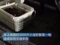 司机穿拖鞋驾驶货车侧翻 3000斤小龙虾满地爬