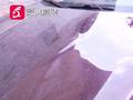 贵阳一场油漆雨10多辆车变麻脸 车主:擦都擦不掉