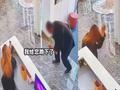 乞讨者进店下跪要钱 反被店员跪拜疯狂磕头 大爷一脸懵起身离开