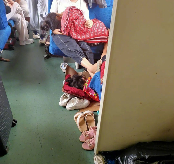 ▲&nbsp;图源：微博