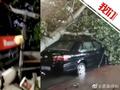 河北沧州12级阵风成排树木被吹倒 目击者:砸了很多车