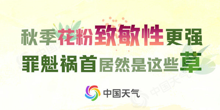 你不知道的秋季过敏那些事 手机新浪网