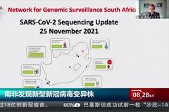 南非发现新型新冠病毒变异株 专家：存在大量突变