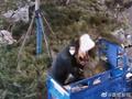 老夫妇偷公园14000元罗汉松回家种 民警:远超盗窃立案标准